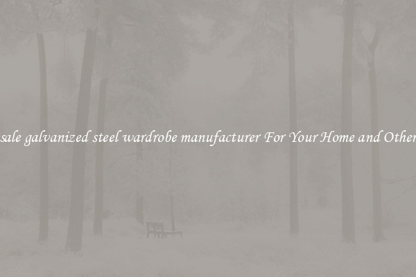 Wholesale galvanized steel wardrobe manufacturer For Your Home and Other Places