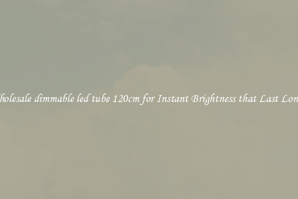 Wholesale dimmable led tube 120cm for Instant Brightness that Last Longer