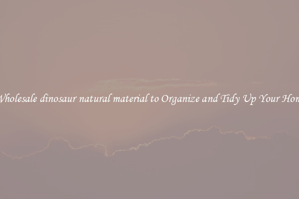 Wholesale dinosaur natural material to Organize and Tidy Up Your Home