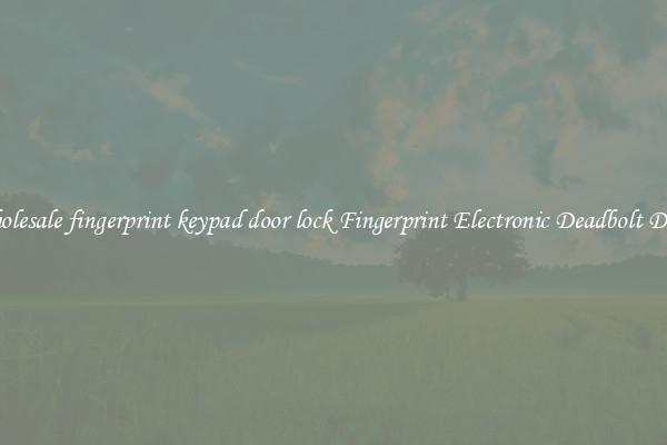 Wholesale fingerprint keypad door lock Fingerprint Electronic Deadbolt Door 