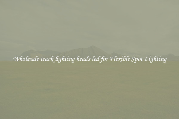 Wholesale track lighting heads led for Flexible Spot Lighting