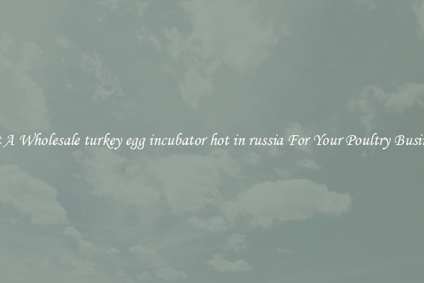 Get A Wholesale turkey egg incubator hot in russia For Your Poultry Business