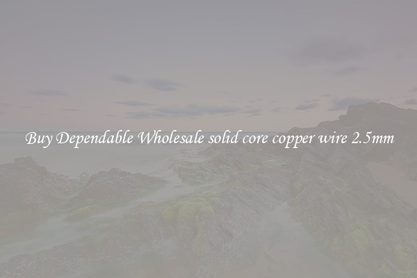 Buy Dependable Wholesale solid core copper wire 2.5mm