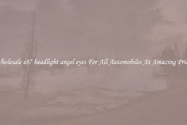 Wholesale e87 headlight angel eyes For All Automobiles At Amazing Prices