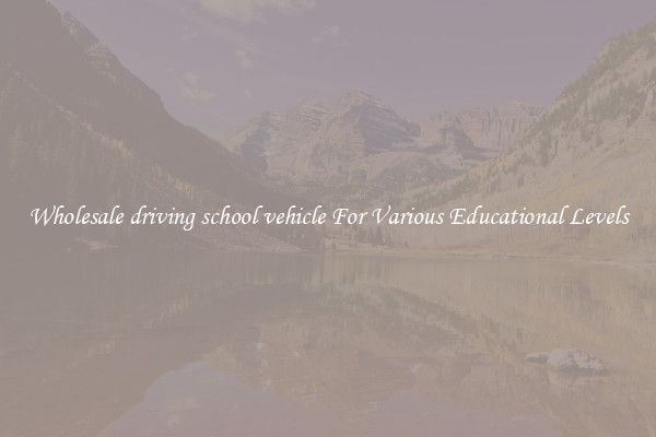Wholesale driving school vehicle For Various Educational Levels