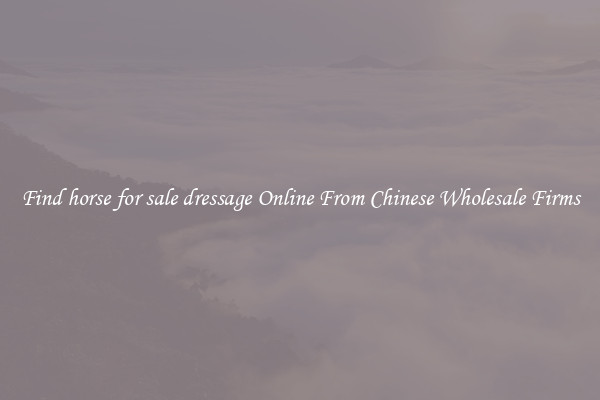 Find horse for sale dressage Online From Chinese Wholesale Firms