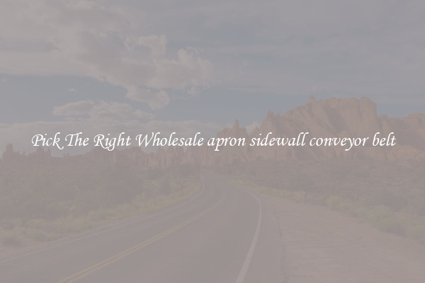 Pick The Right Wholesale apron sidewall conveyor belt