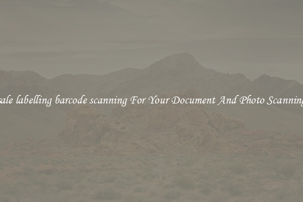 Wholesale labelling barcode scanning For Your Document And Photo Scanning Needs