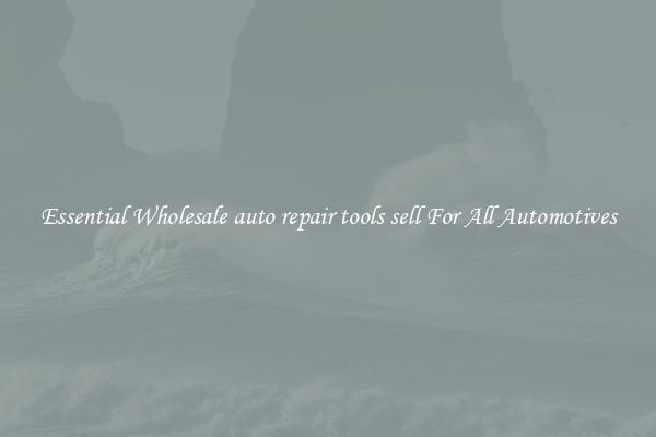Essential Wholesale auto repair tools sell For All Automotives