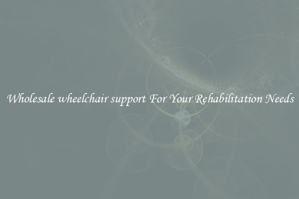 Wholesale wheelchair support For Your Rehabilitation Needs