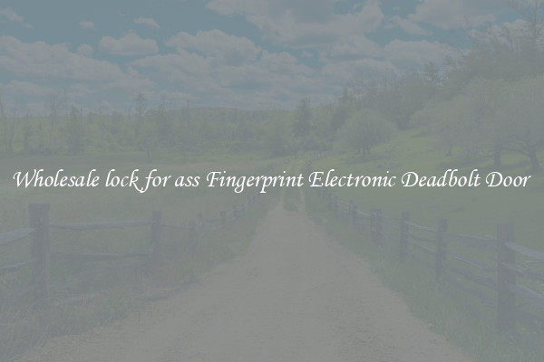 Wholesale lock for ass Fingerprint Electronic Deadbolt Door 