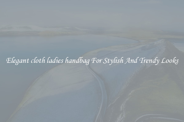 Elegant cloth ladies handbag For Stylish And Trendy Looks