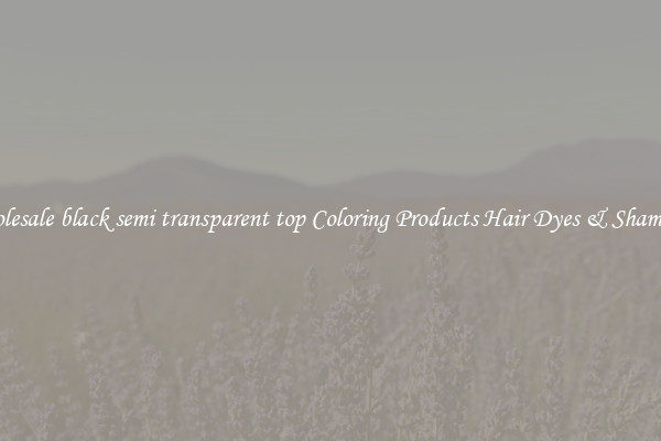 Wholesale black semi transparent top Coloring Products Hair Dyes & Shampoos