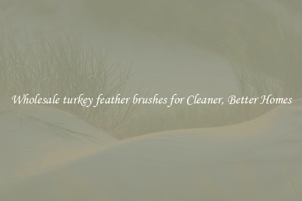 Wholesale turkey feather brushes for Cleaner, Better Homes