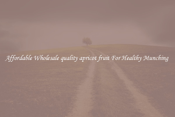 Affordable Wholesale quality apricot fruit For Healthy Munching 