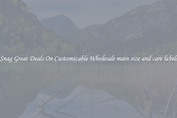 Snag Great Deals On Customizable Wholesale main size and care labels