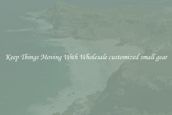 Keep Things Moving With Wholesale customized small gear