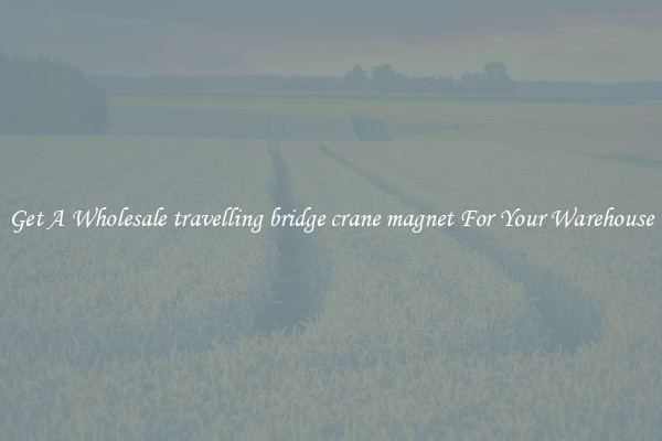 Get A Wholesale travelling bridge crane magnet For Your Warehouse