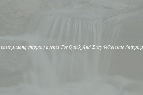 pasir gudang shipping agents For Quick And Easy Wholesale Shipping