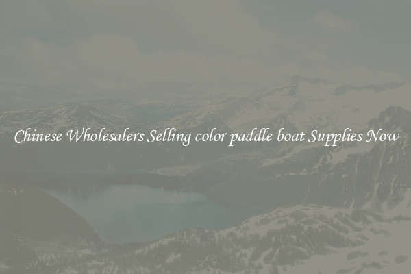 Chinese Wholesalers Selling color paddle boat Supplies Now