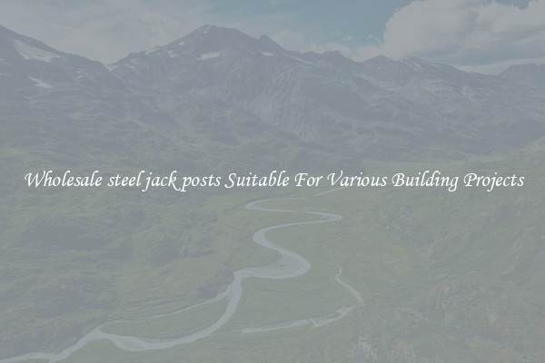 Wholesale steel jack posts Suitable For Various Building Projects