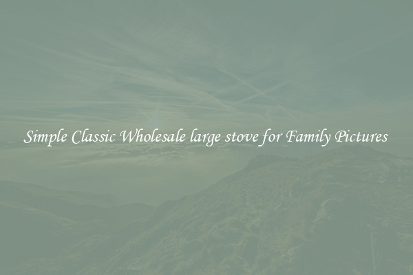 Simple Classic Wholesale large stove for Family Pictures 